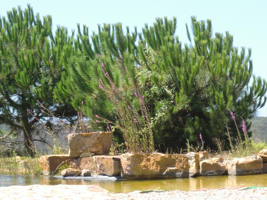 Casa di campagna Montes De Baixo *